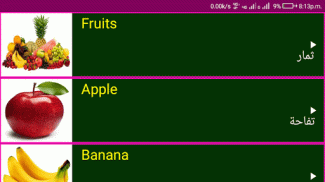 Learn English From Arabic screenshot 9