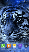 Tiger Live Wallpaper screenshot 4