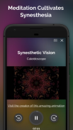 Sensorium - Synesthesia Meditation & Awareness screenshot 4