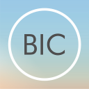 DELTA BIC Zone Icon