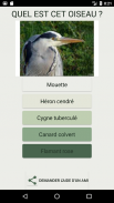 Quiz consacré aux oiseaux screenshot 1