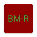 DMR BrandMeister repeaters