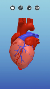 Surgeon 3D screenshot 2