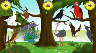 动物的声音学习 - 寻找游戏 screenshot 3