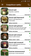 Грибы screenshot 5