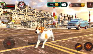 Jack Russell Terrier Simulator screenshot 12