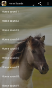 Horse Sounds screenshot 0