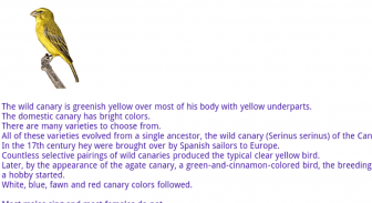 Canaries Info screenshot 1