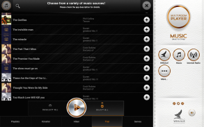 AirPlay Multiroom by WHAALE screenshot 8