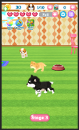 Dog Bubble screenshot 5