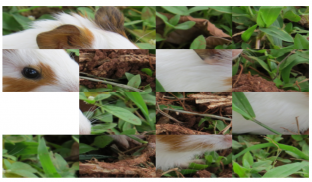 Hamster Puzzle- just beautiful pictures jigsaw screenshot 5