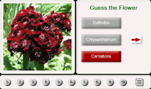 Guess the Flower: Tile Puzzles screenshot 1