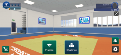 Movesensei: Learn Judo Throws screenshot 9