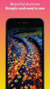 Beautiful Autumn Wallpapers Autumn backgrounds HD screenshot 5