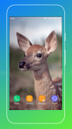 Deer Wallpapers screenshot 9