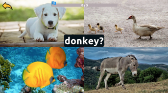 Learn Animals Names in English Pictures Words Quiz screenshot 4