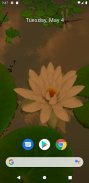 3D Lotus Pond Live Wallpaper screenshot 3