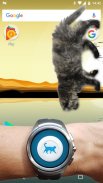 مزحة لطيفة قطة تمشي في الهاتف screenshot 5