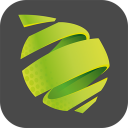 Lime Fitness Icon