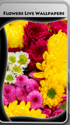 fiori Live Wallpapers screenshot 1