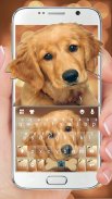 Gold Naive Puppy Keyboard Them screenshot 1