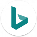 Bing Search Icon