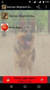 German Shepherd Dog Wallpapers screenshot 0