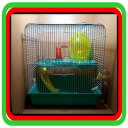 the idea of a hamster cage Icon