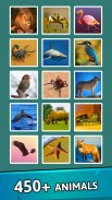 Animal Quiz Guess their Answer screenshot 4