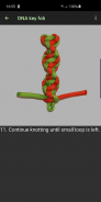 Useful Paracord Knots screenshot 2