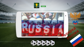 World Cup Stickers screenshot 8