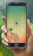 Spider Web Out screenshot 3