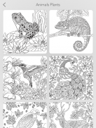 Garden Coloring Book screenshot 15