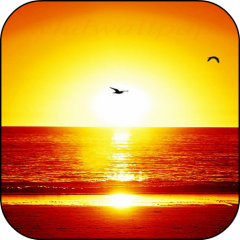 Sunset Beach Live Wallpaper 10 Download Apk For Android Aptoide