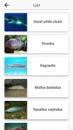 Animals -Quiz about Mammals, Birds, Fish!Zoo quiz. screenshot 4