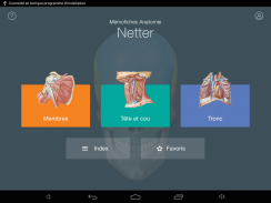 Mémofiches Anatomie Netter screenshot 6
