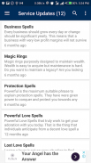 Wealth & Asset Protection Spells screenshot 2