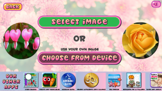 Puzzles of Flowers Free screenshot 2