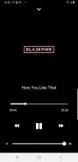 Blackpink Songs Offline screenshot 4