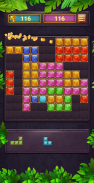 Block Puzzle 2021 screenshot 2