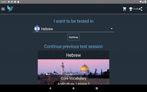 Hebrew Language Tests screenshot 17