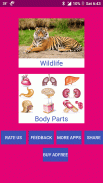 Learn English Wildlife and Body Parts Names screenshot 10