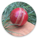 LocalCricket Icon