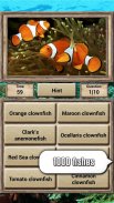 Animal Kingdom - Quiz Game screenshot 3