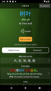 trainchinese Chinese Dictionary and Flash Cards screenshot 4