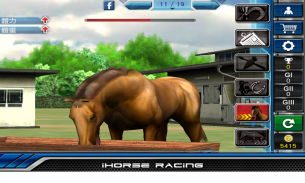 iHorse Racing：免费赛马游戏 screenshot 6