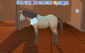 Real Horse Racing World Rider screenshot 12