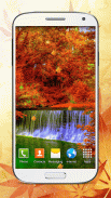 Autumn Live Wallpaper HD screenshot 4