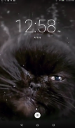 Cats Shake Live Wallpaper screenshot 2