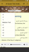 Quran Arabic and English screenshot 0